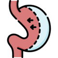 Bariatrics