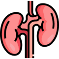 Nephrology